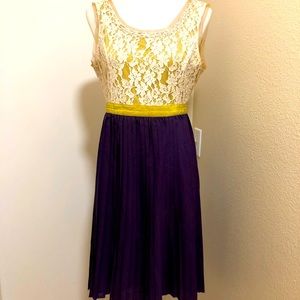 🔷🩸High Low Pleated Dress, Fully Lined. Size Medium, Plum & Gold Colors.